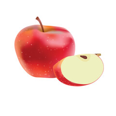 Realistic apple. Detailed illustration.