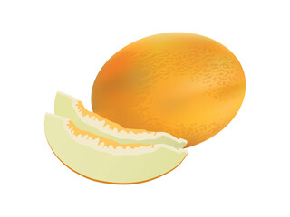 Realistic melon. Detailed illustration. 