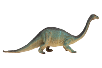 A worn plastic long necked dinosaur isolated. Brachiosaurus.