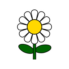 SVG Transparent High Resolution Daisy Sunflower on White Background