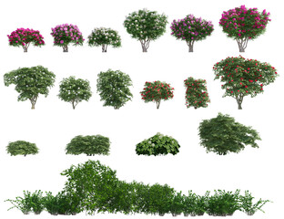 Set of 3D flowers bushes isolated on PNGs transparent background , Use for visualization in graphic design