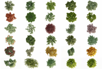 Collection of plan 2D view bushes Isolated on white background ,Use for visualization in graphic design	
