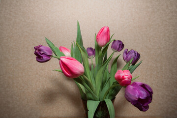 A bouquet of beautiful purple and pink tulips stand in a glass vase on a wooden table, against the background of a textured wall. Image for your creative design or illustrations.