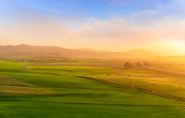Obraz premium green spring hills with young grass and amazing growing fields and hills with beautiful bright cloudy sunset on background of rural landscape