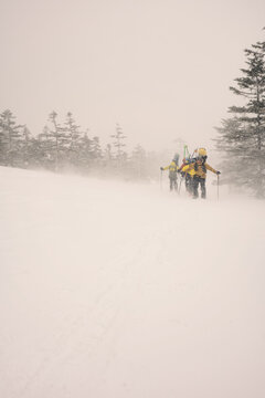 Group of hikers on snowy terrain