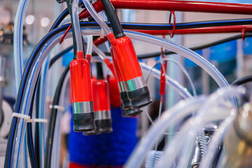 Red teat cups of automated cow milking suction machine at cattle dairy farm, exhibition, trade...