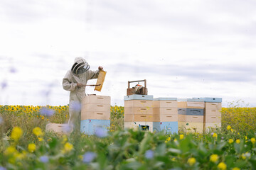 Apiarist honeycomb job nature