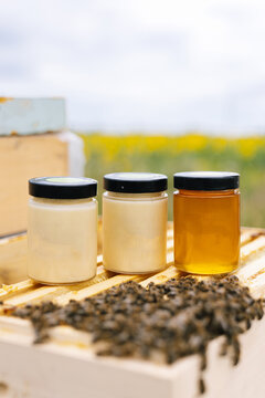 Honey jar bee