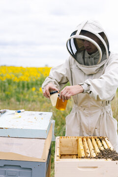 Beekeeper harvest honey agriculture 