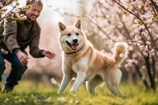 Man playing with pet dog in the park at spring time generative AI	
