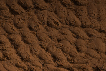 The surface of sand, clay, earth. Wheel dents, tire marks. Craters, depressions, bulges. Mars. Planet