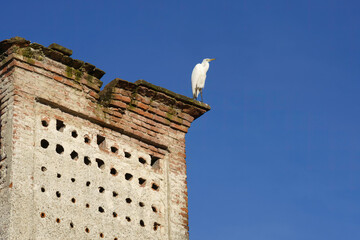 Old buildings along Naviglio Pavese, Milan, Italy