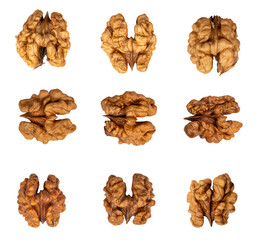 Collection of walnut kernels isolated on transparent background. PNG file.