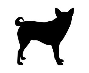 Dog vector illustration on white background - obrazy, fototapety, plakaty