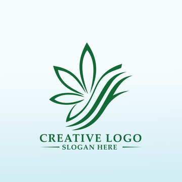 grower currently focusing on hemp logo
