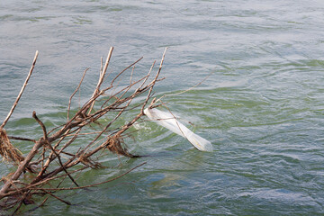 polyethylene bag on a branch in a mountain river, environmental pollution