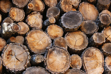 Background of stacked wooden logs