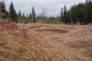 Mima Mounds Natural Area Preserve south of Olympia, Washington