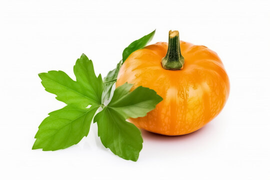 Pumpkin vegetable and green leaves isolated on white background. generative ai