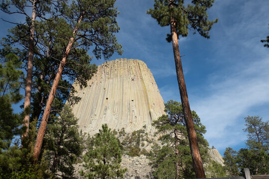 Devil's Tower National Monument between two tall trees