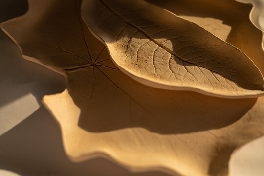 clay tree leaves