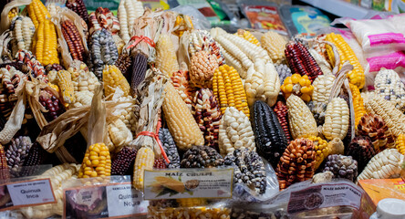Maiz en diferentes variedades, expuesto expuesto en un puesto del mercado,  producto cosechado en...