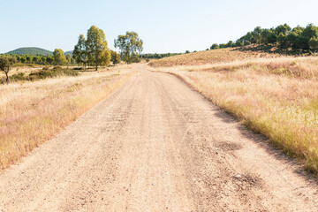 Via de la Plata - a dirt road in Sierra Norte de Sevilla natural Park, Almaden de la Plata, province of Seville, Andalusia, Spain