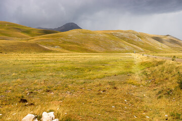 View of a mountain landscape with meadow, trees, and steppe in Abruzzo in summer in Italy