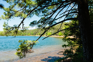 Fototapeta na wymiar Late May shoreline of Trout Lake, Vilas County, Wisconsin, looking through the white pines