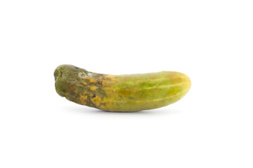 Rotten cucumber isolated on white background