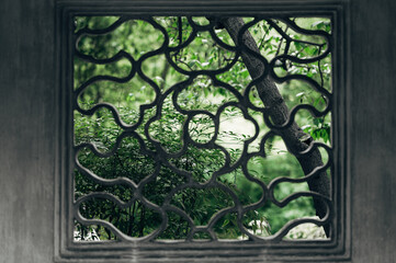Window glass in Suzhou's garden