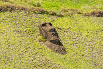 A Moai head on the slope of Rano Raraku on Easter Island (Rapa Nui),  Chile. Raraku is commonly...