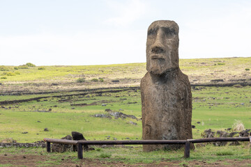 A Vere Moai (traveling moai ) at Ahu Tongariki on Easter Island. He was shipped to Japan to participate in an Exhibition and demonstrated the ‘walking’ theory.