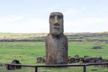 A Vere Moai (traveling moai ) at Ahu Tongariki on Easter Island. He was shipped to Japan to participate in an Exhibition and demonstrated the ‘walking’ theory.