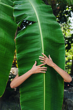 Crop woman touching palm leaf