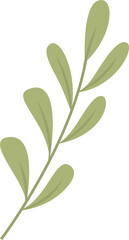 Set of floral branch. Wedding concept with flowers. Floral poster, invite. Vector arrangements for greeting card or invitation design