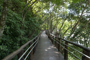 wooden bridge in the forest Piraju SP