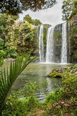 Whangarei Falls