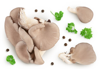 Fototapeta premium Oyster mushrooms isolated on white background with full depth of field. Top view. Flat lay