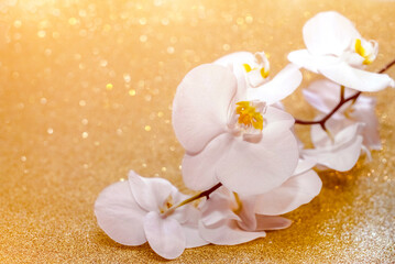 Fototapeta na wymiar A branch of white orchids on a shiny gold background 