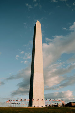 Fototapeta The Washington Monument 