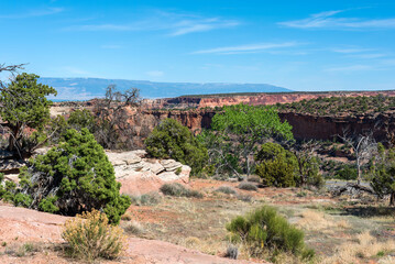 Landscape in the Colorado National Monument above the Grand Valley in western Colorado