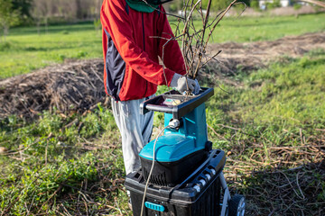 A farmer cuts branches in an electric garden grinder to shred during spring cleaning. Grinding...