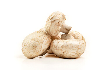 Champignon mushrooms isolated on white.