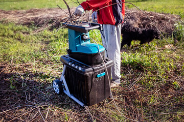 electric garden grinder to shred. in the process. The gardener crushes the branches and makes fuel...