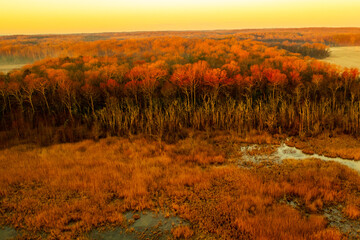 Skyview of sun bursting on a treeline