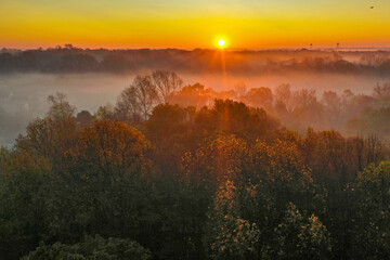Colors of a foggy sunrise