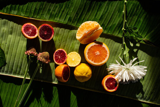 Citrus and Flowers