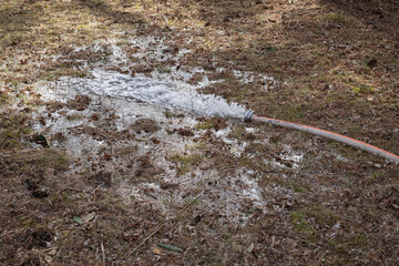 Water flowing from a fire hose onto the lawn.