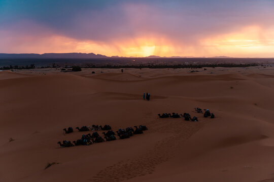 Sunrise In The Desert